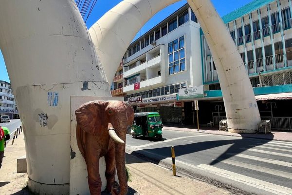 mombasa-tusks