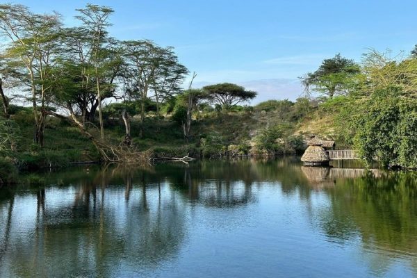 mzima-springs