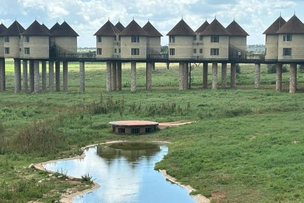 saltlick-lodge-taita-wildlife