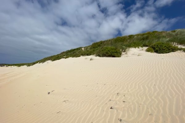 sand-dunes