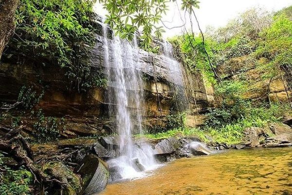 shimba-hills-national-park