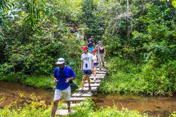 shimba-hills-trekking