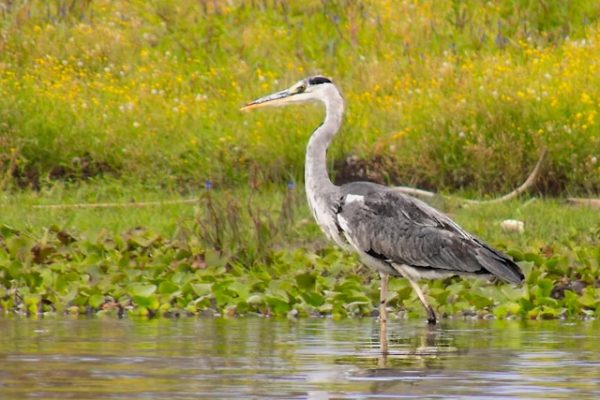 torben-gettermann-rzIi70gNkG4-unsplash