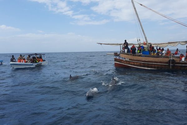 wasini-dolphins